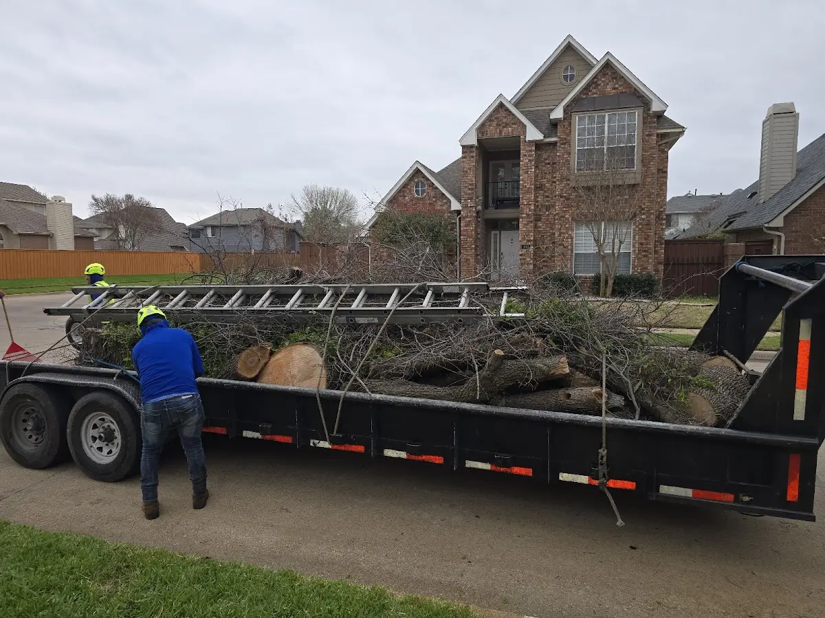 Expert Tree Removal with proper safety equipment in Goodman
